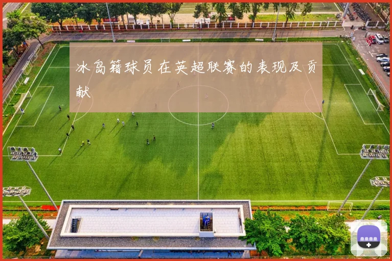 冰岛籍球员在英超联赛的表现及贡献