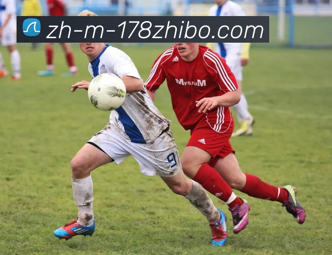 178体育直播APP 封面图